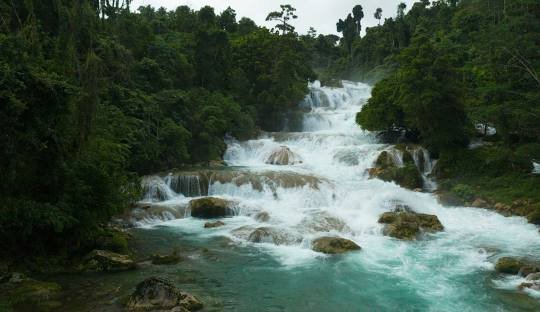 Majestic cascading waterfall surrounded by lush green forest