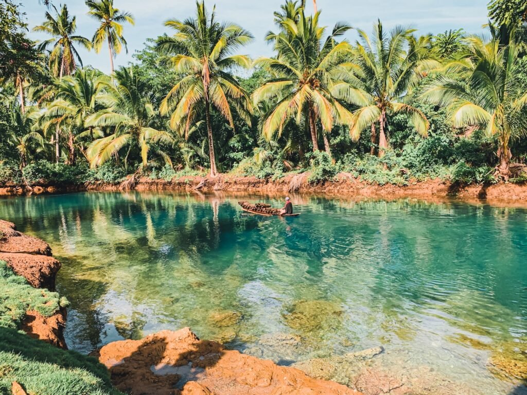 Calm turquoise river surrounded by lush palm trees and greenery